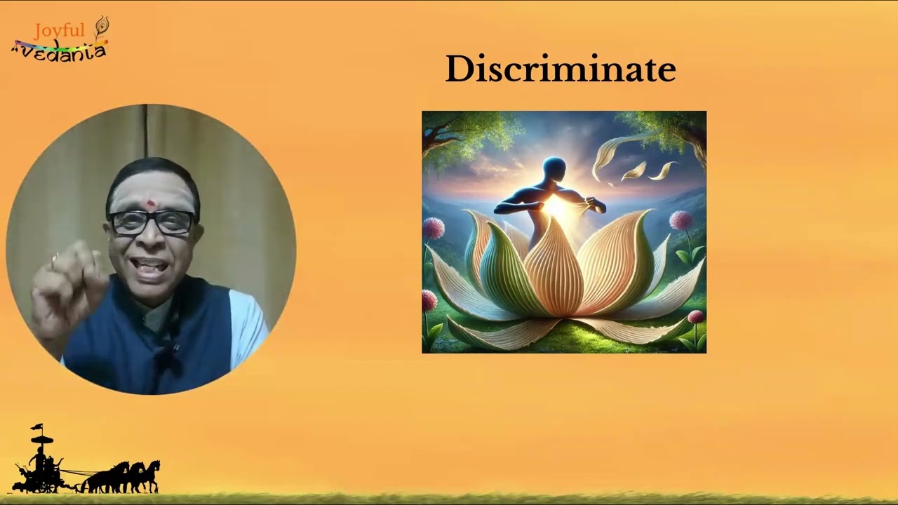 JV   CYS E3   Process